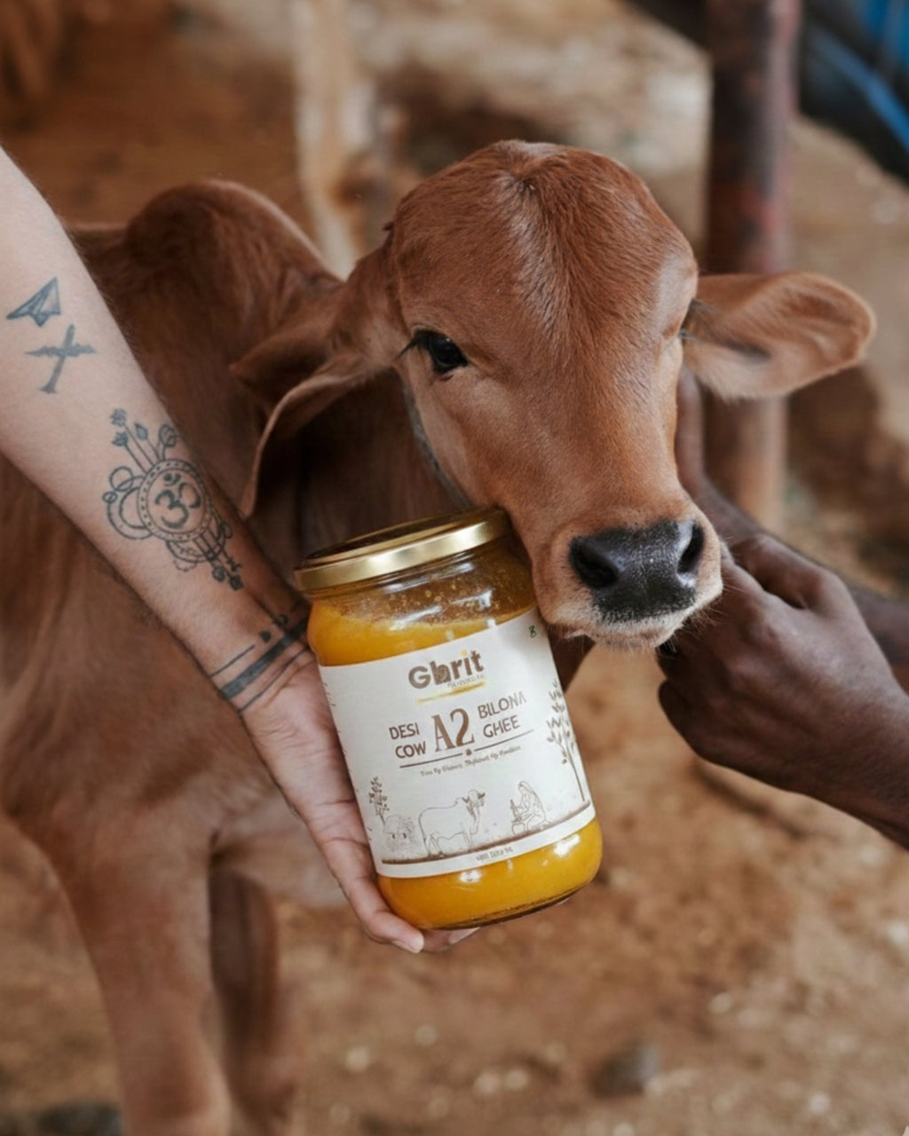 Ghrit Organics A2 Cow Ghee | Bilona Churned | Made from A2 Milk | 100% Pure & Natural | 500 ml